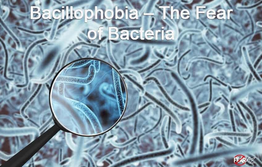 Bacillophobia – The Fear of Bacteria