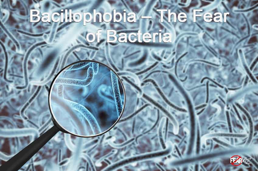 Bacillophobia – The Fear of Bacteria