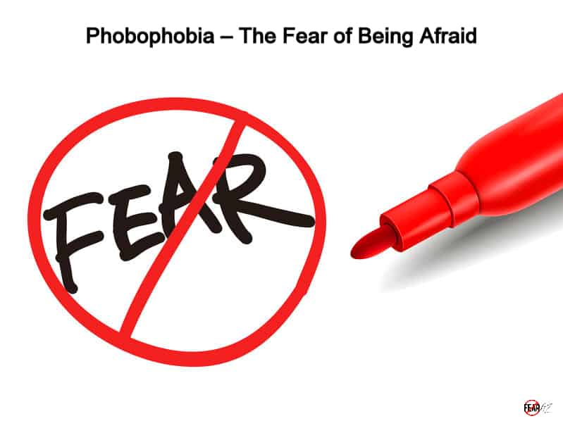 Phobophobia – The Fear of Being Afraid