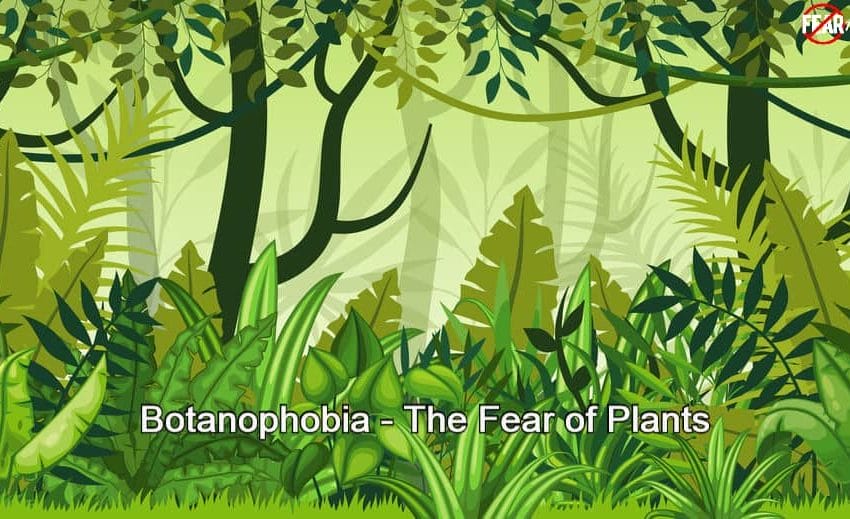 Botanophobia – The Fear of Plants