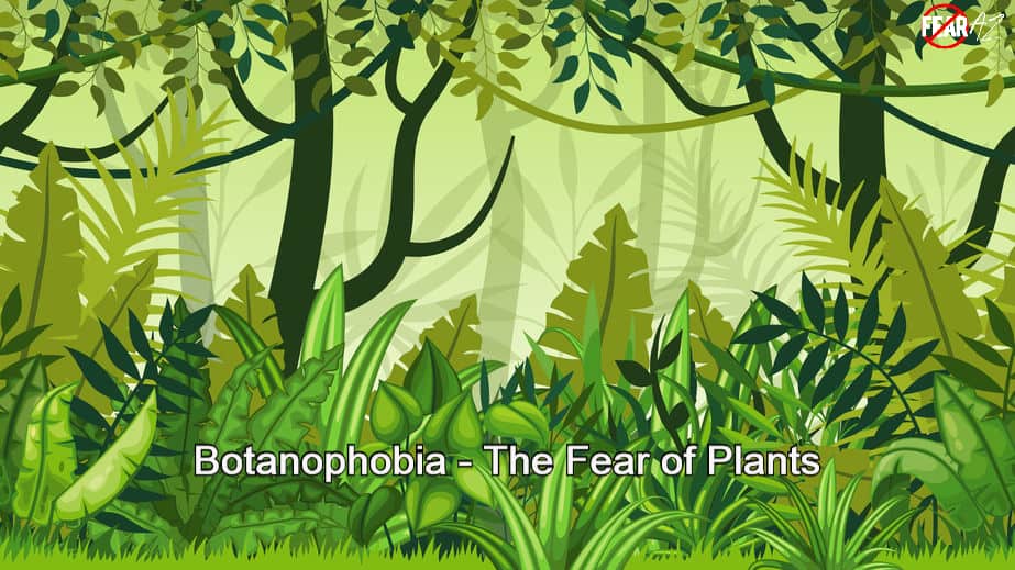 Botanophobia – The Fear of Plants