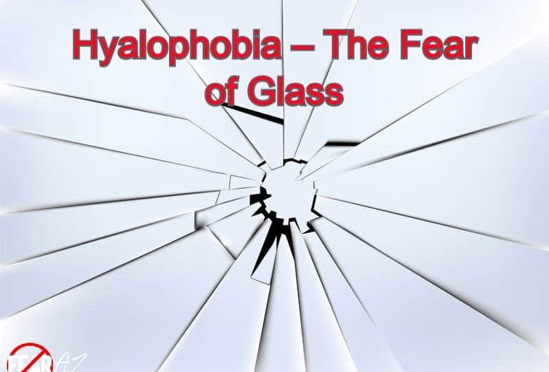 Hyalophobia – The Fear of Glass
