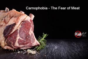 Carnophobia – The Fear of Meat