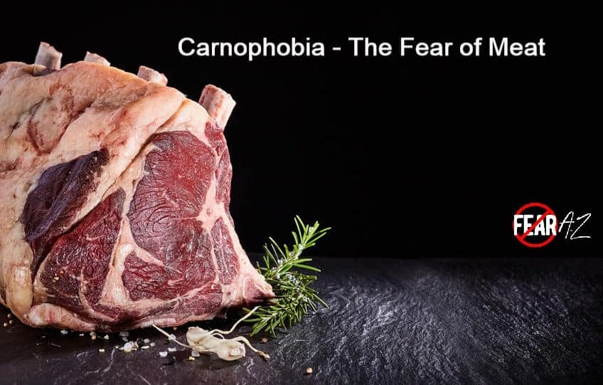 Carnophobia – The Fear of Meat