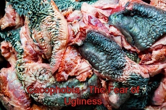 Cacophobia – The Fear of Ugliness