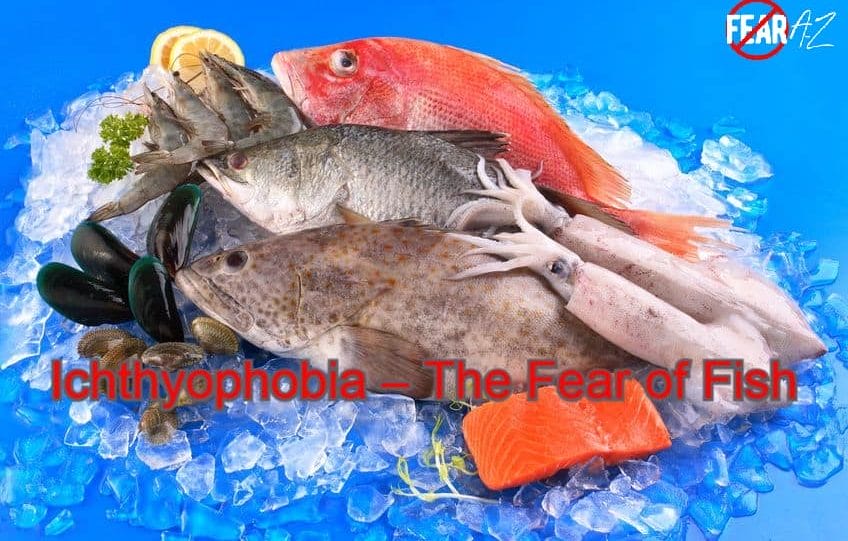 Ichthyophobia – The Fear of Fish