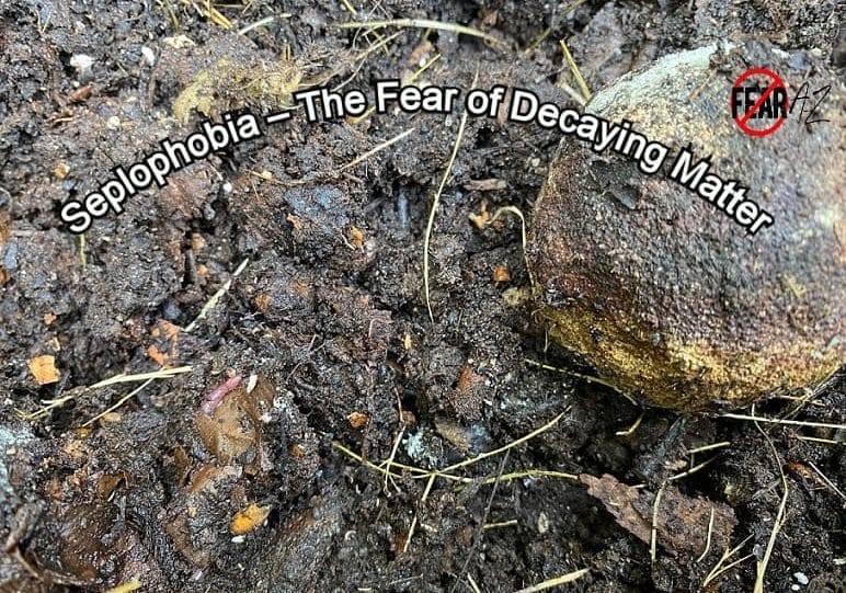 fear of decaying matter
